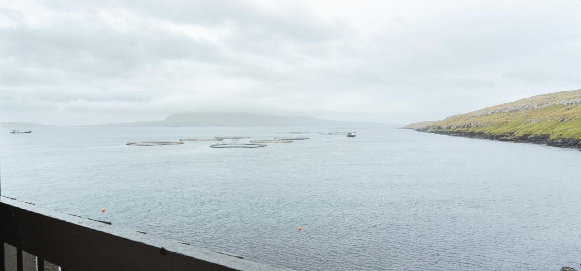 A Tromini Guesthouse Tórshavn Exteriör bild